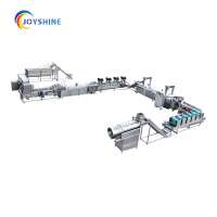 Top selling for 2020 fried potato fingers making machine fresh french fries production line