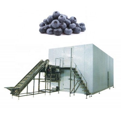 Frozen Green Peas Machine IQF Quick Freezing Machine