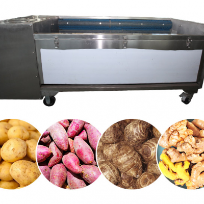 multifunction one process brush vegetables potato washing and peeling machine